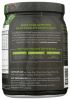 PLANTFUSION: Elite Activated Peptide Protein Rich Chocolate, 15.87 oz