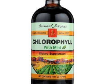 BERNARD JENSENS: Chlorophyll with Mint, 16 oz