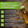 Welsdom Oil of Oregano Liquid Drops 60mL
