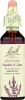 BACH: Empathize & Listen Flower Remedies Heather, 20 ml