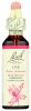 BACH: Restore Endurance Flower Remedies Oak, 20 ml