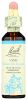 BACH: Motivate Not Dominate Flower Remedies Vine, 20 ml
